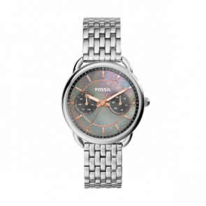 Klockarmband Fossil ES3911 Stål